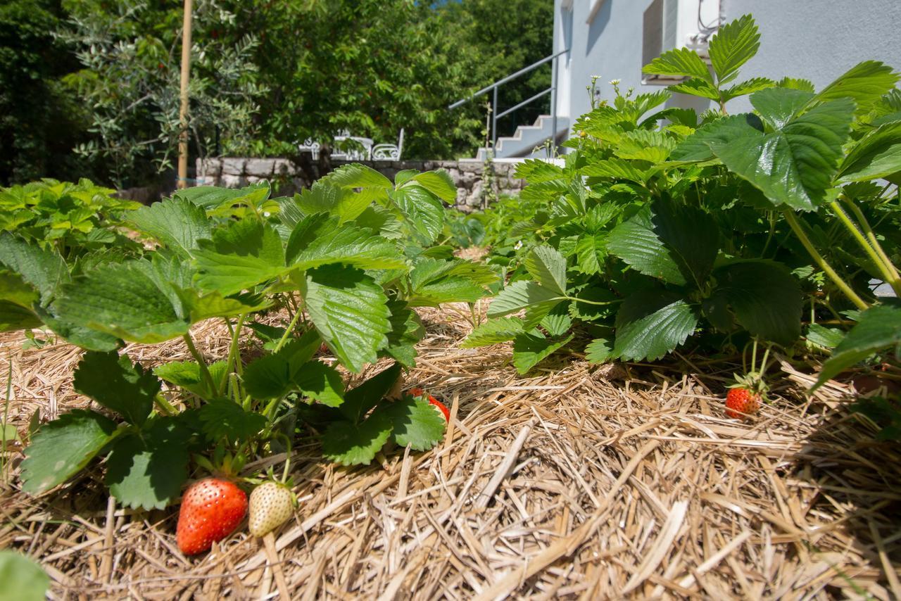 Organic Gardens Villa Crikvenica Extérieur photo