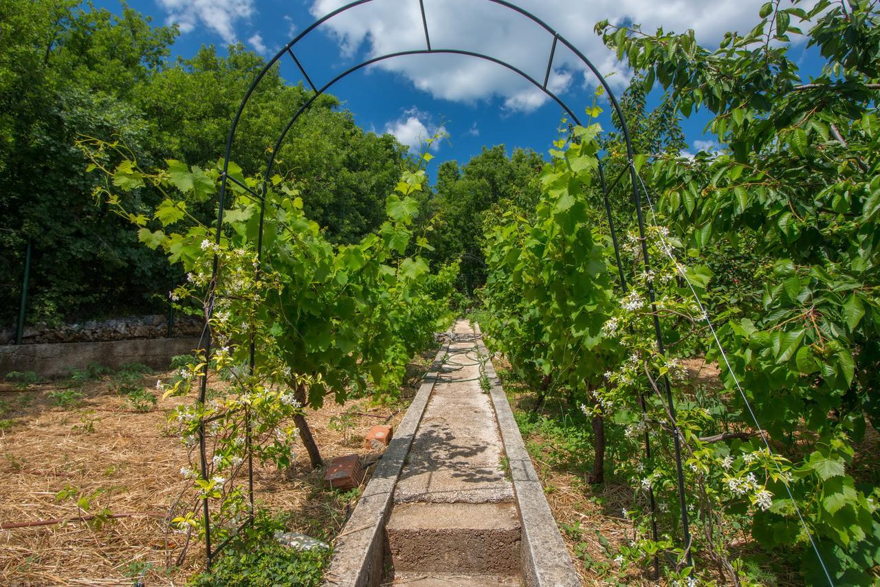 Organic Gardens Villa Crikvenica Extérieur photo